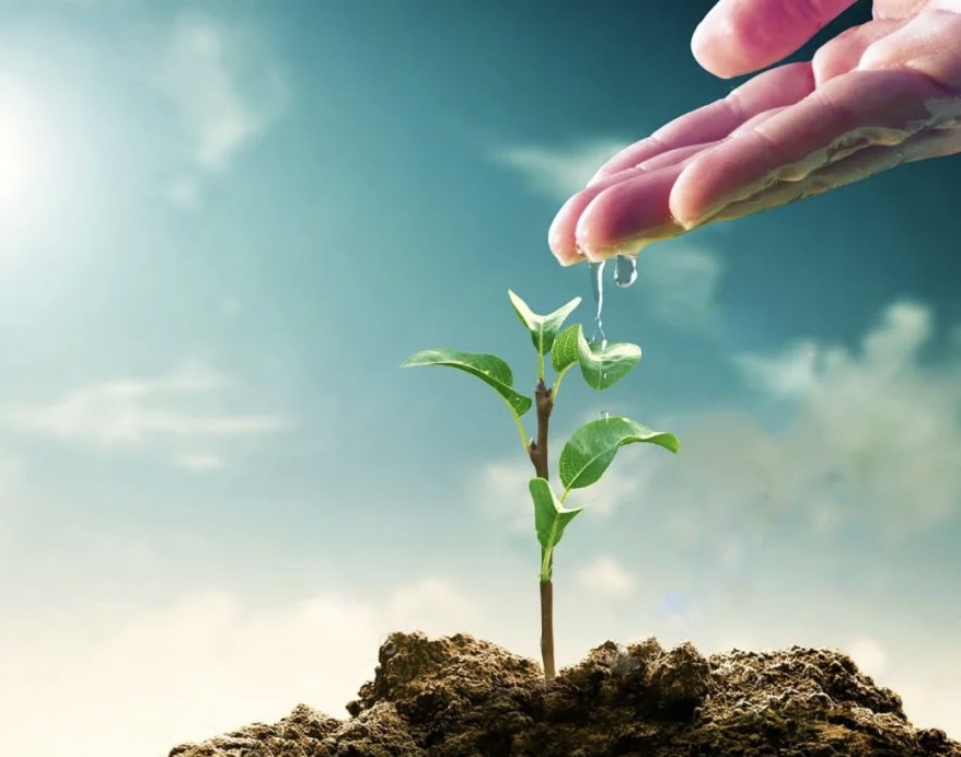 没有经历煎熬是不会有结果的