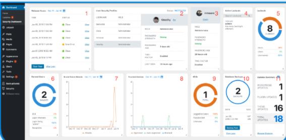 iThemes Security Pro v6.8.2 – WordPress安全防护插件插图