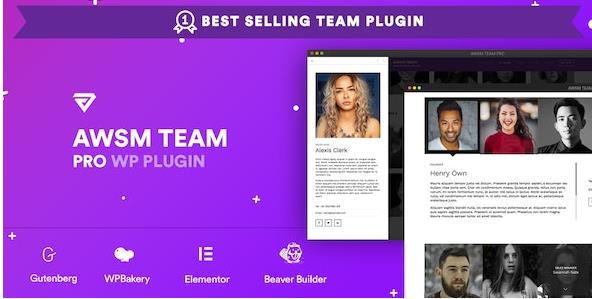 Team Pro v1.11.2 – Team Showcase WordPress插件插图