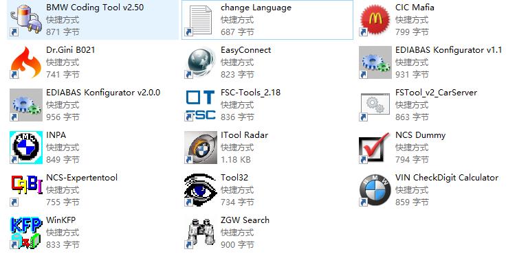 BMW Standard Tools 宝马FSC工具套装下载插图