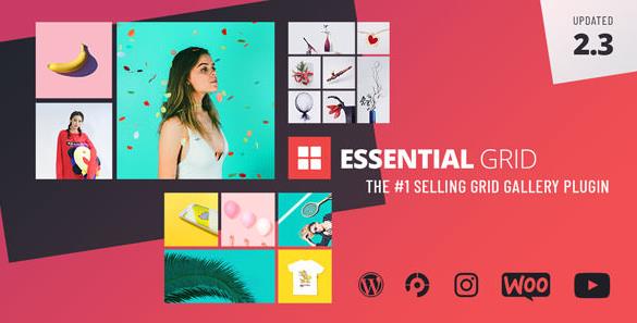 Essential Grid v3.1.8（已汉化） – WordPress画廊插件插图