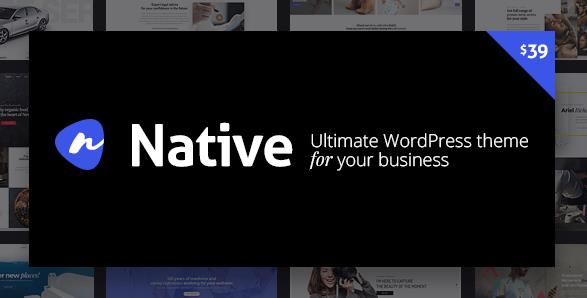 Native v1.6.9.2 – 时尚的多功能创意WordPress主题插图