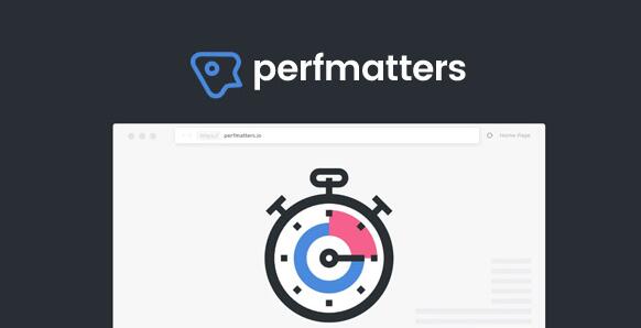 Perfmatters v2.5.2免激活版（已汉化） – WordPress性能优化插件