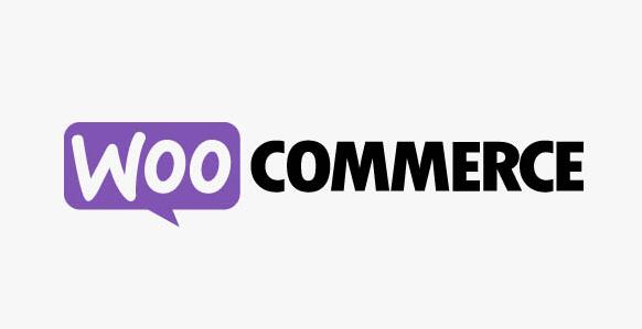 WooCommerce Group Coupons v2.16.0（已汉化）