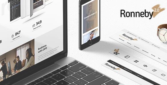 Ronneby v3.5.63破解版 – WordPress高性能主题
