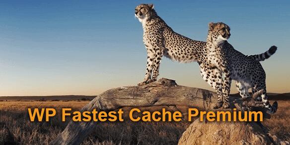 WP Fastest Cache Premium v1.7.2破解版（已汉化） – WordPress缓存插件插图