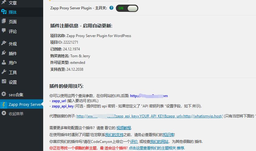 Zapp Proxy Server v1.1.7.2（已汉化） –  WordPress代理服务器插件插图(1)
