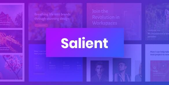 Salient v17.0.7 – WordPress响应式多用途主题插图