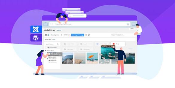 WP Media Folder v5.3.11 破解版插图