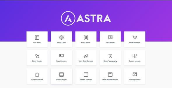 Astra Pro Addon v4.3.3 – Perfect Theme For Any Website-艾瑞资源网