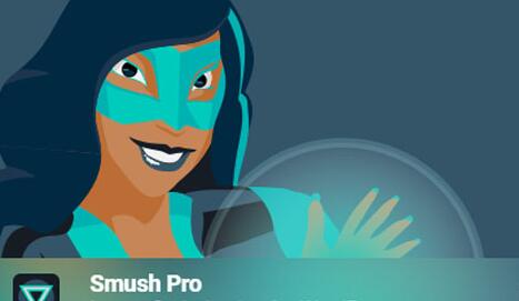 WP Smush Pro v3.21.0(已汉化)– WordPress图像优化插件