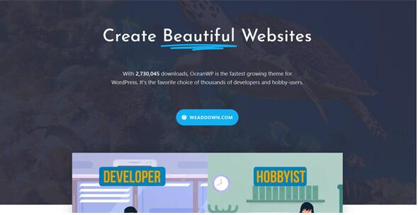 OceanWP v4.0.9破解版+高级扩展– WordPress主题