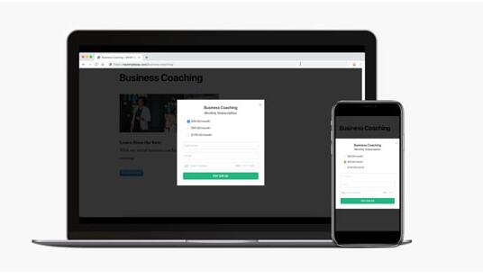 WP Simple Pay Pro Elite v4.14.2无限制版(已汉化)-WordPress条形付款插件