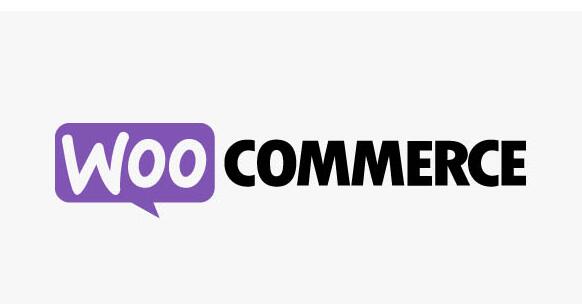 WooCommerce Google Product Feed v11.0.24无限制版 – 谷歌产品提要