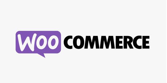 WooCommerce Instagram v5.0.0无限制版（已汉化） – WooCommerce在Instagram展示产品插件