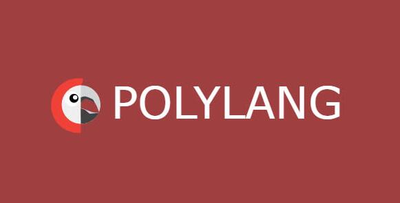 Polylang Pro v3.6.7（已汉化） – WordPress翻译插件插图