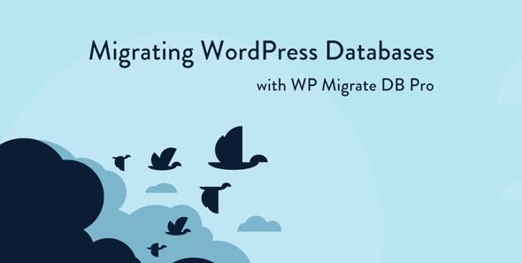 WP Migrate DB Pro v2.7.2破解版 – WordPress数据库迁移插件插图