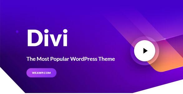 Divi Theme v4.27.4（已汉化） – 最受欢迎的WordPress主题插图