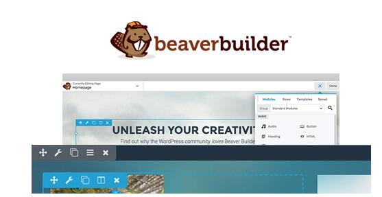 Beaver Builder Professional v2.8.5破解版（已汉化） – 页面构建器插件插图