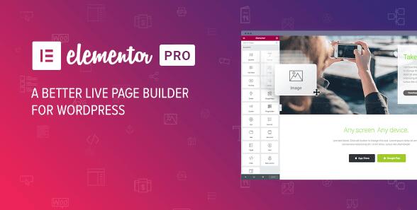 Elementor Pro v3.28.3 破解版（已汉化）/ Elementor Free 3.24.2 (完整模板和组件)插图