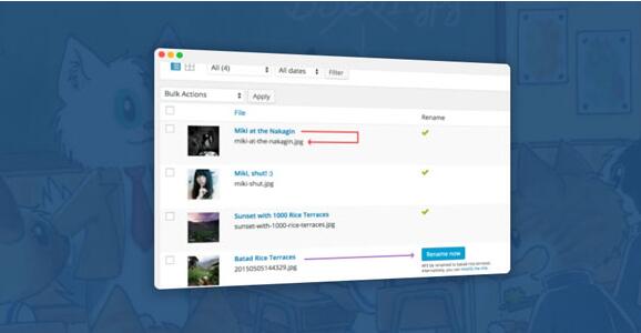 Media File Renamer Pro v6.0.6 破解版（已汉化）插图