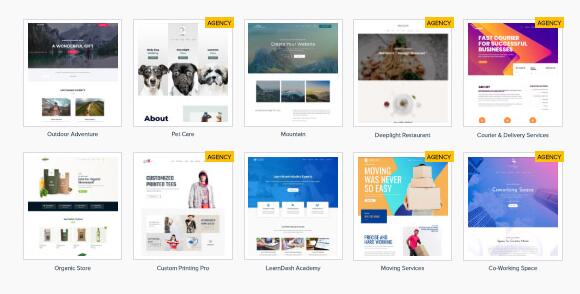 Astra Premium Sites v4.4.19破解版（已汉化） – Astra在线模版库导入插件插图