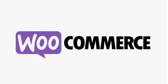 WooCommerce Instagram v4.6.1破解版（已汉化） - WooCommerce在Instagram展示产品插件插图