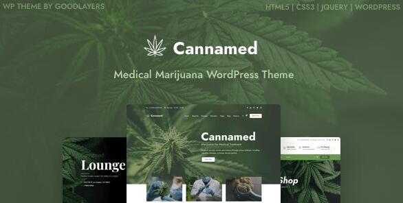 Cannamed v1.0.7 – WordPress医药主题插图