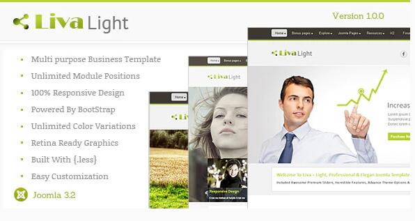 Livalight Theme v2.0 - Joomla响应式多用途主题插图