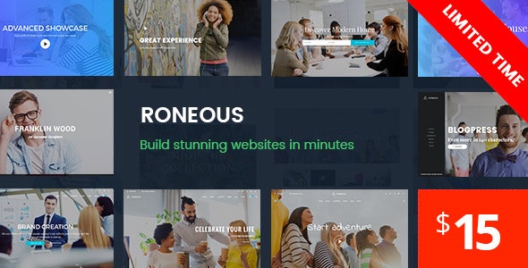 Roneous v2.0.6破解版 – WordPress多功能主题插图