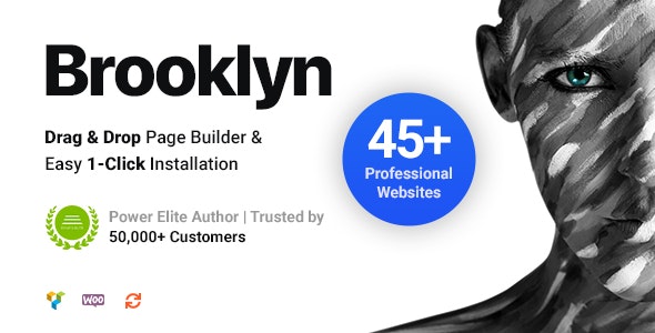 Brooklyn v4.9.9.1破解版 – WordPress多功能企业主题插图