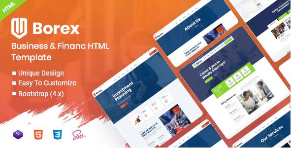 Borex v1.0 – 多用途业务的HTML5模板插图