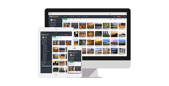Yetishare File Hosting Script v5.6.0(已汉化73%) – 文件托管源码