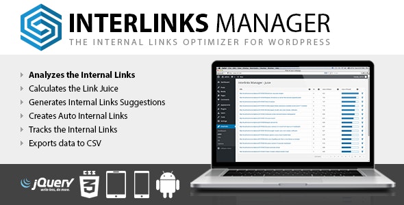 Interlinks Manager v1.40破解版（已汉化） – WordPress内链优化插件插图