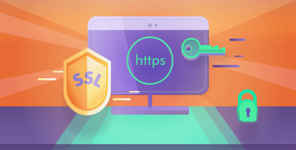 Really Simple SSL Pro v9.3.4（已汉化） – WordPress SSL插件高级版插图