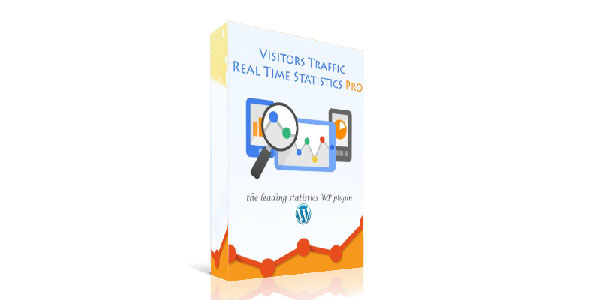 Visitor Traffic Real Time Statistics Pro v11.1 – WordPress访客流量实时统计专业版