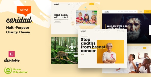 Caridad v8.6 破解版 – WordPress慈善主题插图