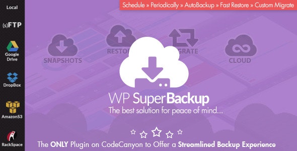 Super Backup & Clone v2.4破解版（已汉化） – WordPress数据备份迁移克隆插件插图