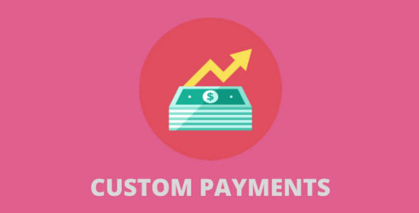 WooCommerce Custom Payment Gateway Pro v3.1.0（已汉化）插图