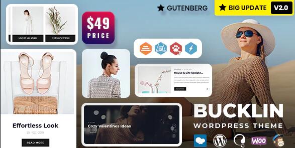 Bucklin v2.0 – WordPress创意个人博客主题插图