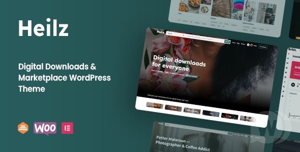 Heilz v2.0.1（已汉化80%） – Digital Goods WordPress 主题插图