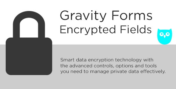Gravity Forms Encrypted Fields v6.1.4插图