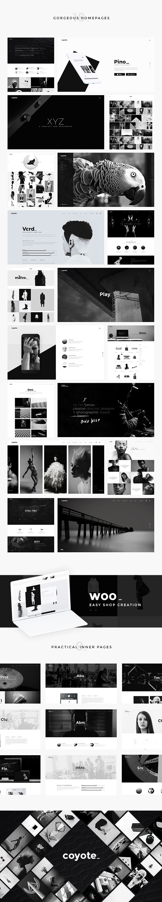 Coyote v1.5 – 多用途 WordPress 主题插图(1)
