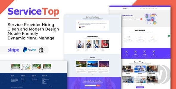 ServiceTop v1.1 – 销售专业服务的平台插图