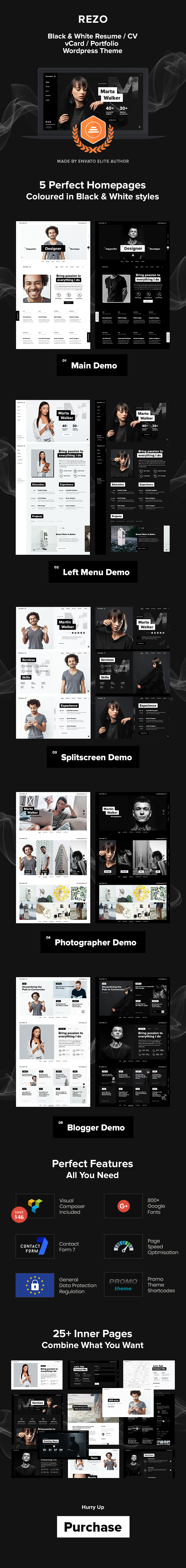 Rezo v1.0.2 – WordPress简历、电子名片、简历模板插图(1)