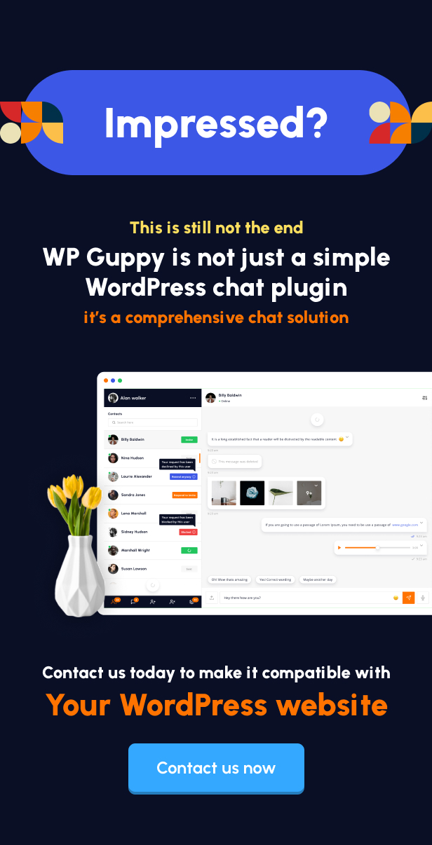 WP Guppy Pro v4.3.2（已汉化90%） – WordPress 实时聊天插件插图(5)