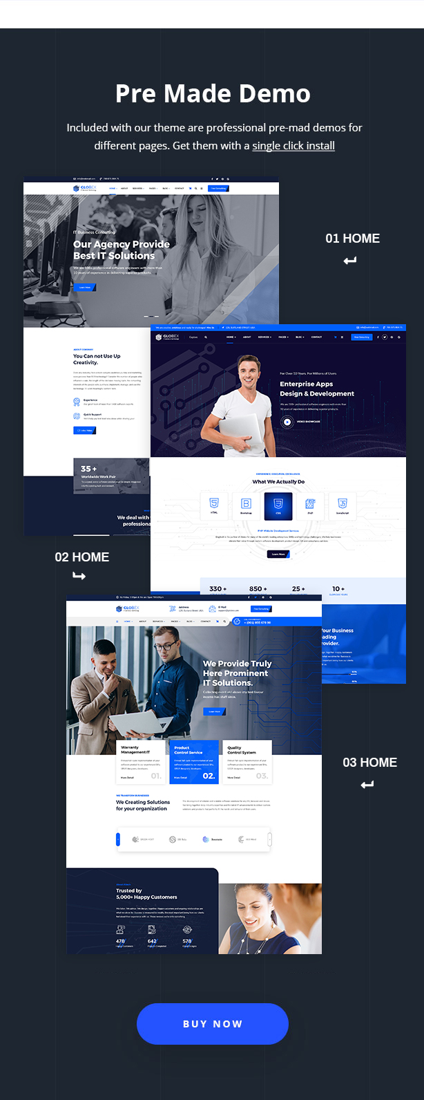Globex v1.7 –  IT 解决方案和服务 WordPress 主题插图(2)