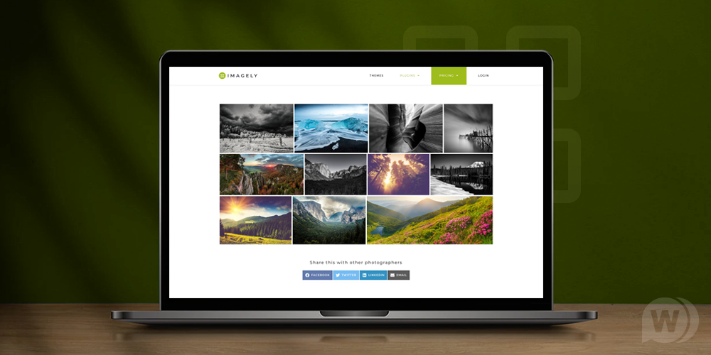 NextGEN Pro Gallery v3.21.0（已汉化） – WordPress 画廊插件插图