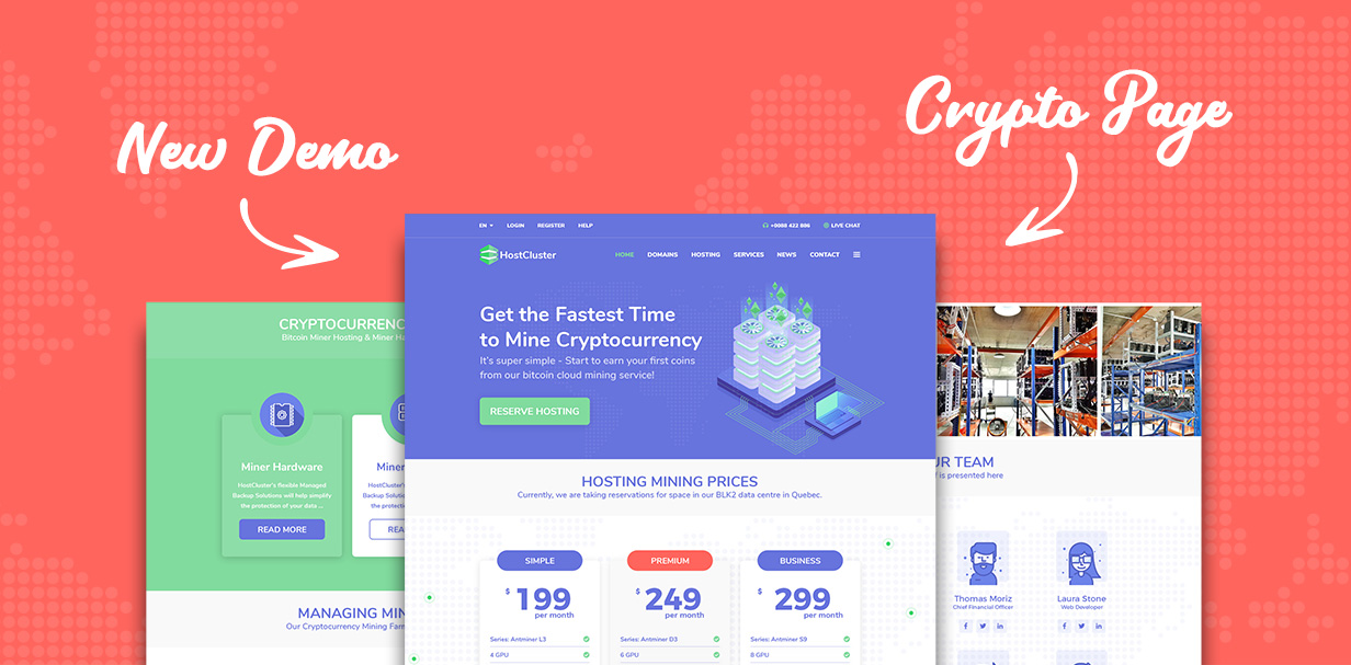 HostCluster v2.4 – WHMCS 服务器和托管 WordPress 主题 + RTL插图(5)