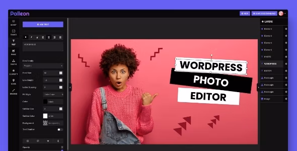 Palleon v3.8.4(已汉化) – WordPress 图像编辑器